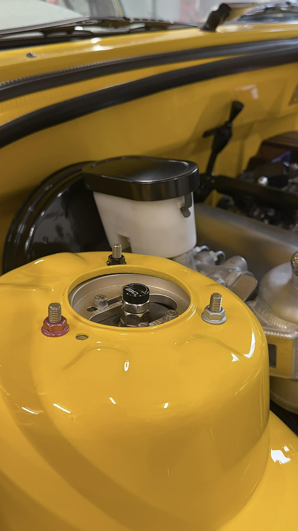 STAINLESS STEEL STRUT TOP NUTS - EARLY HOLDEN